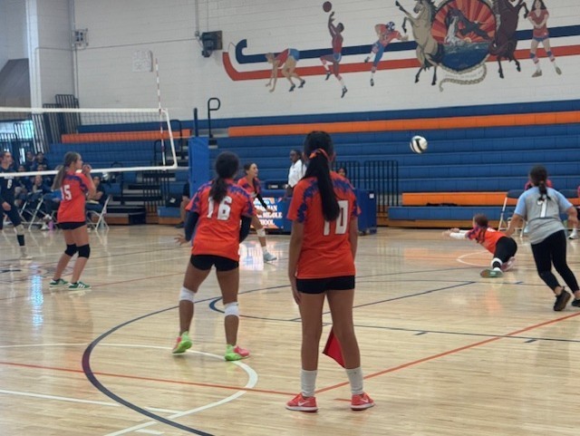volleyball 1