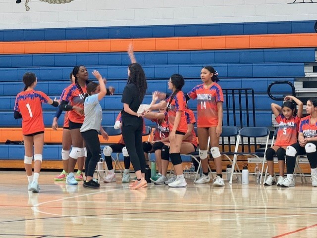 volleyball 1