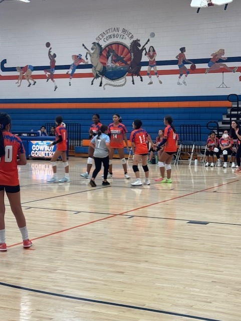 volleyball 1