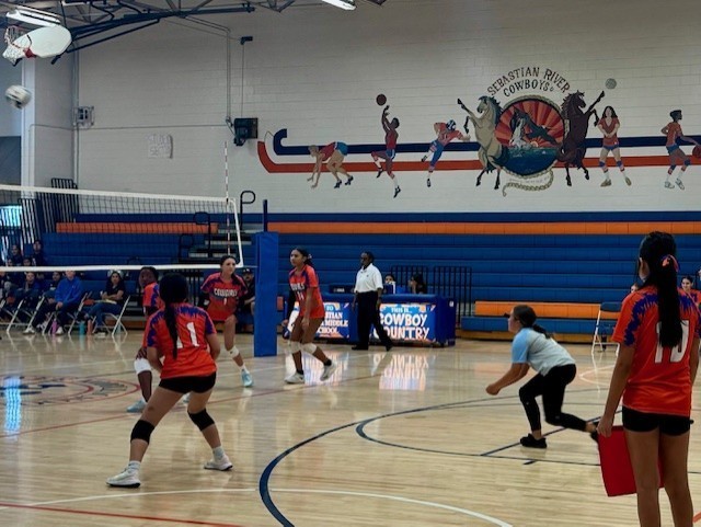 volleyball 1