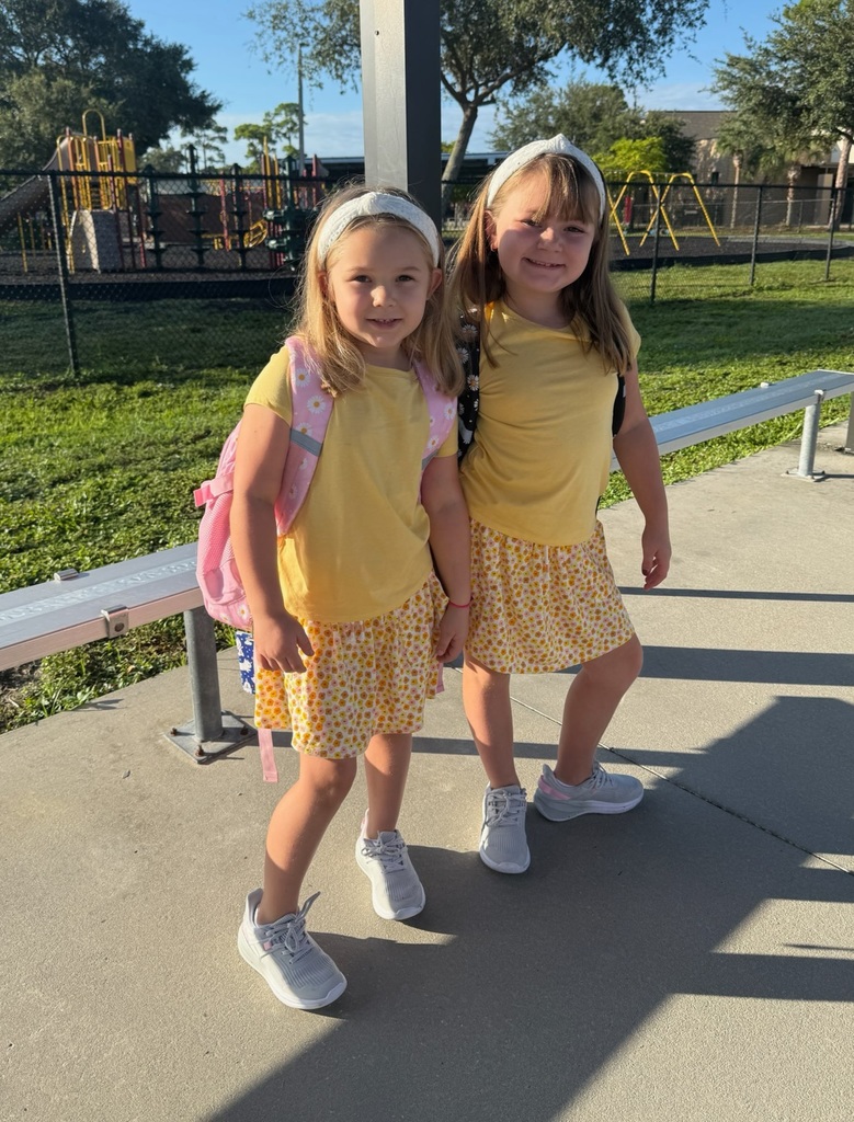 students twinning 
