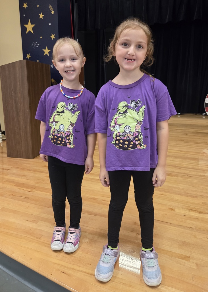 students twinning 