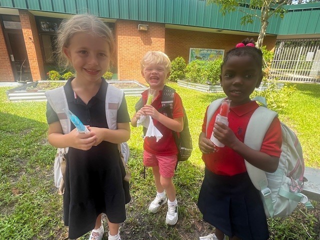 vpk
