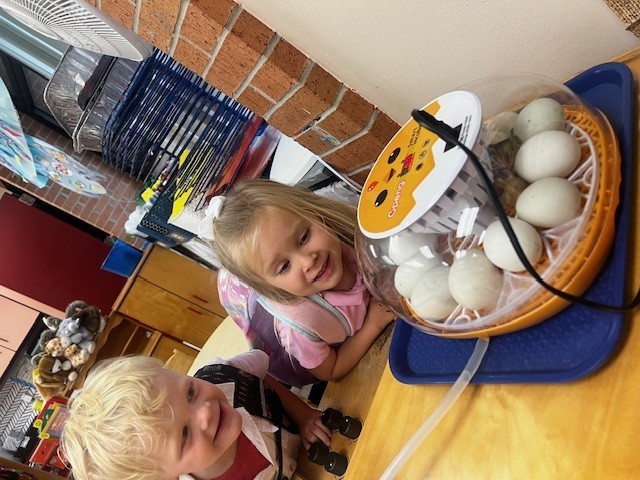 hatching