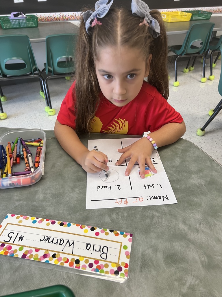 In Mrs. Elliott's Kindergarten class, we are learning about the five senses and students had to use their sense of touch to feel what was in the box.