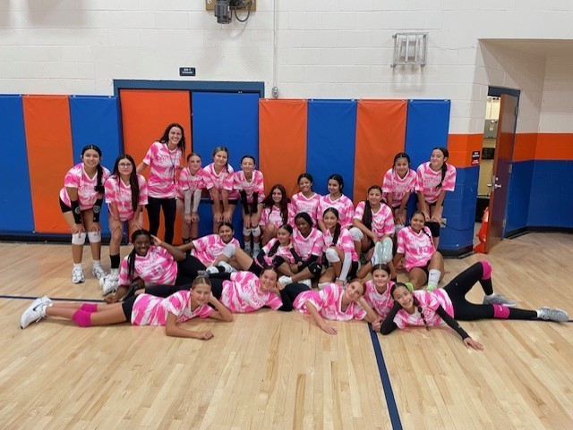 volleyball