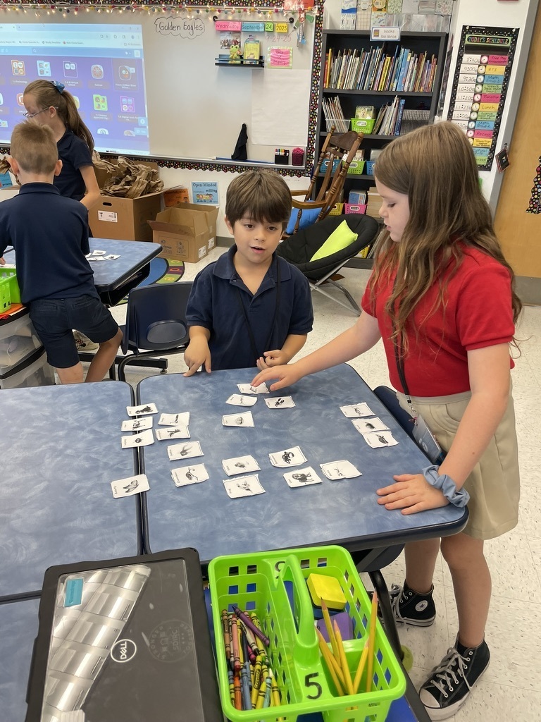 Students engaging in science and math