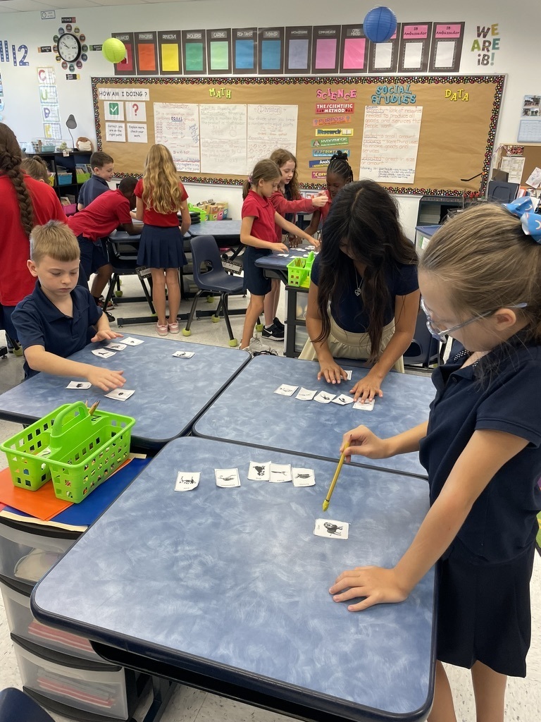 Students engaging in science and math