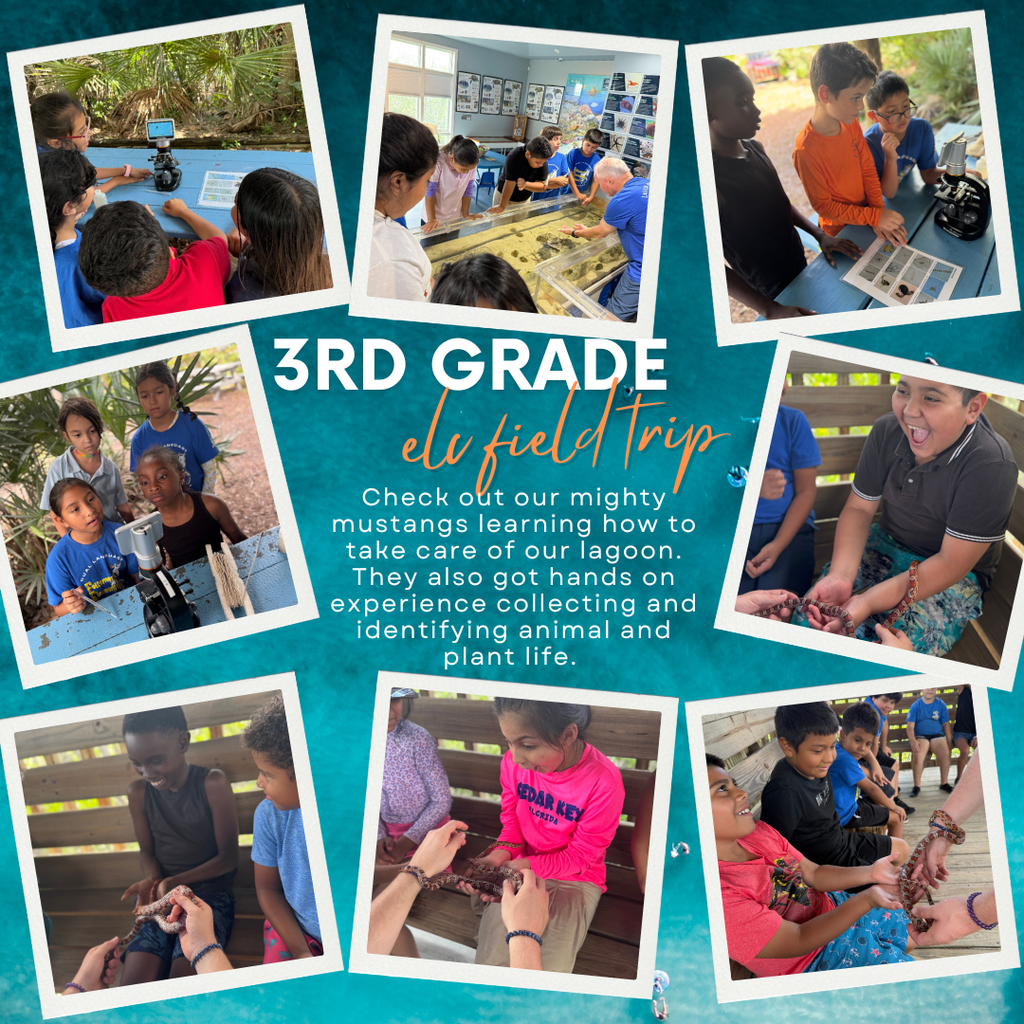 ELC Field Trip