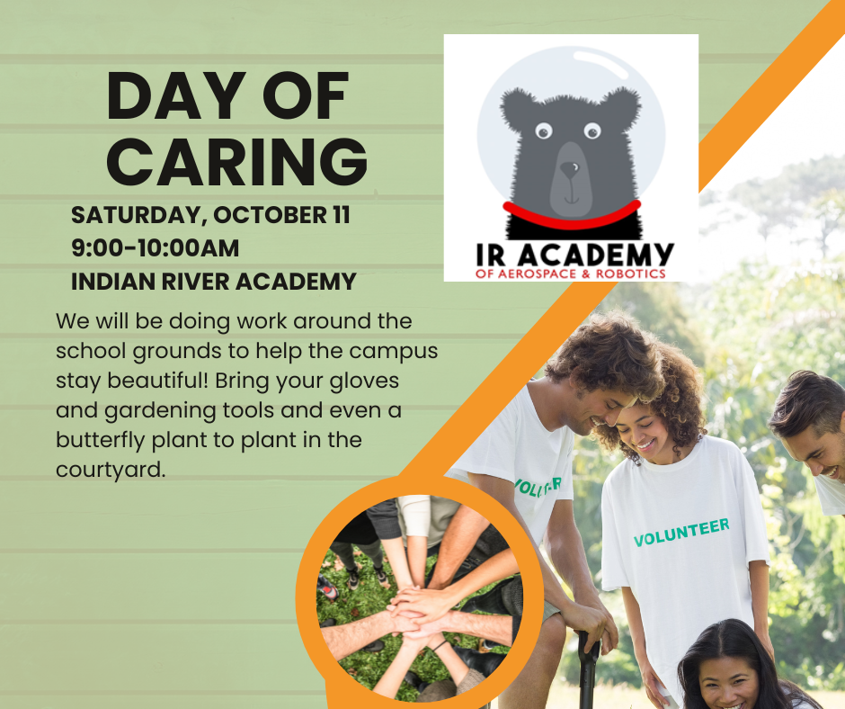 Day Of Caring