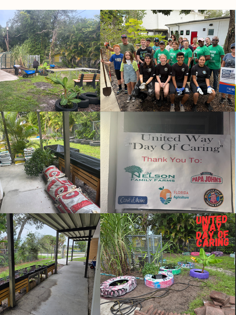 garden before and after