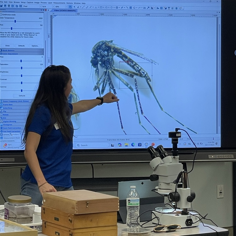 Indian River Mosquito Control