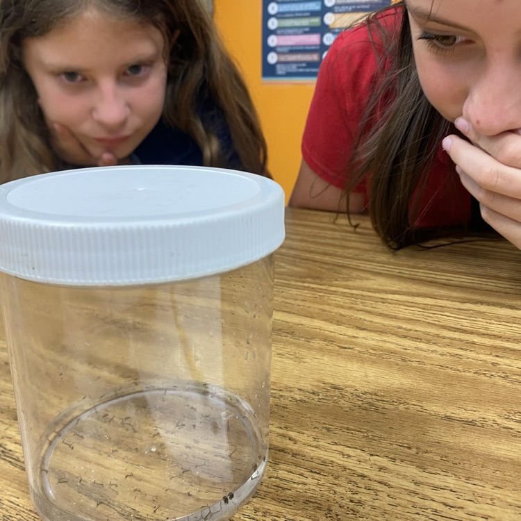 Indian River Mosquito Control