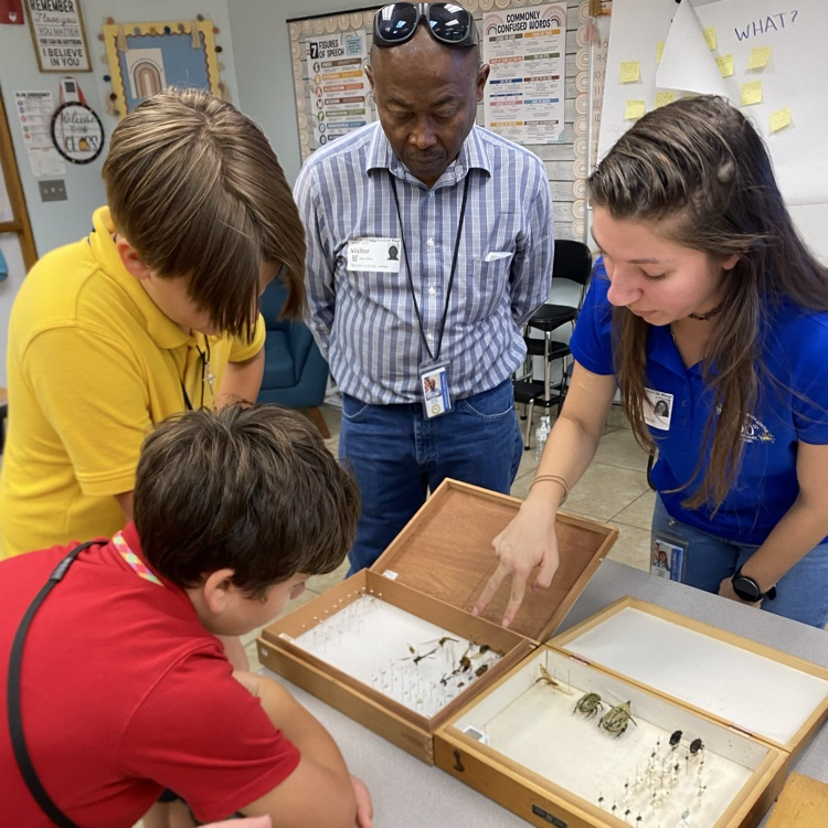 Indian River Mosquito Control