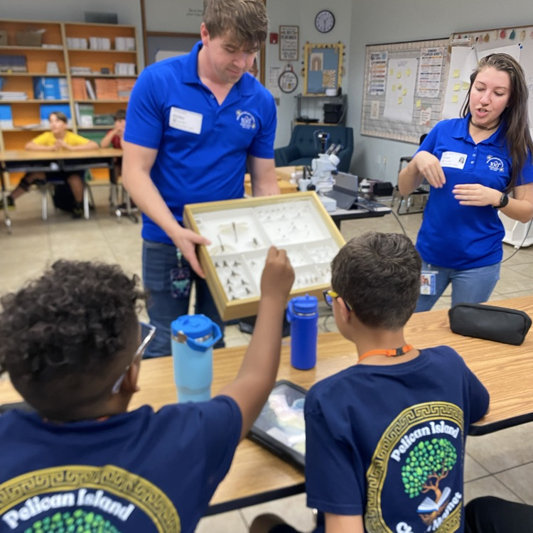 Indian River Mosquito Control