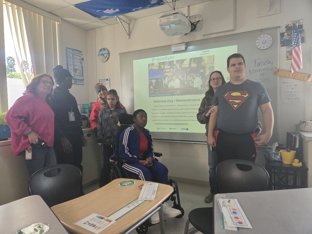 Veterans day lesson with students