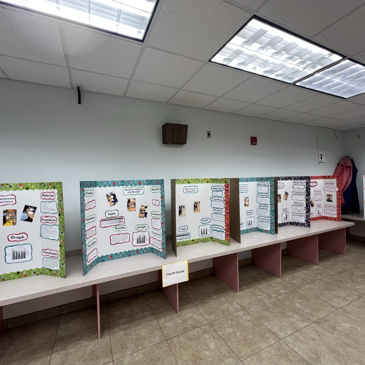 science fair 