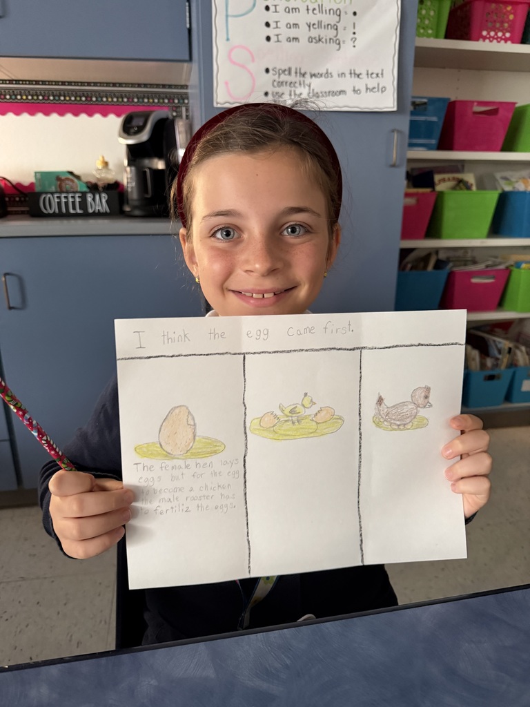 student egg or chicken