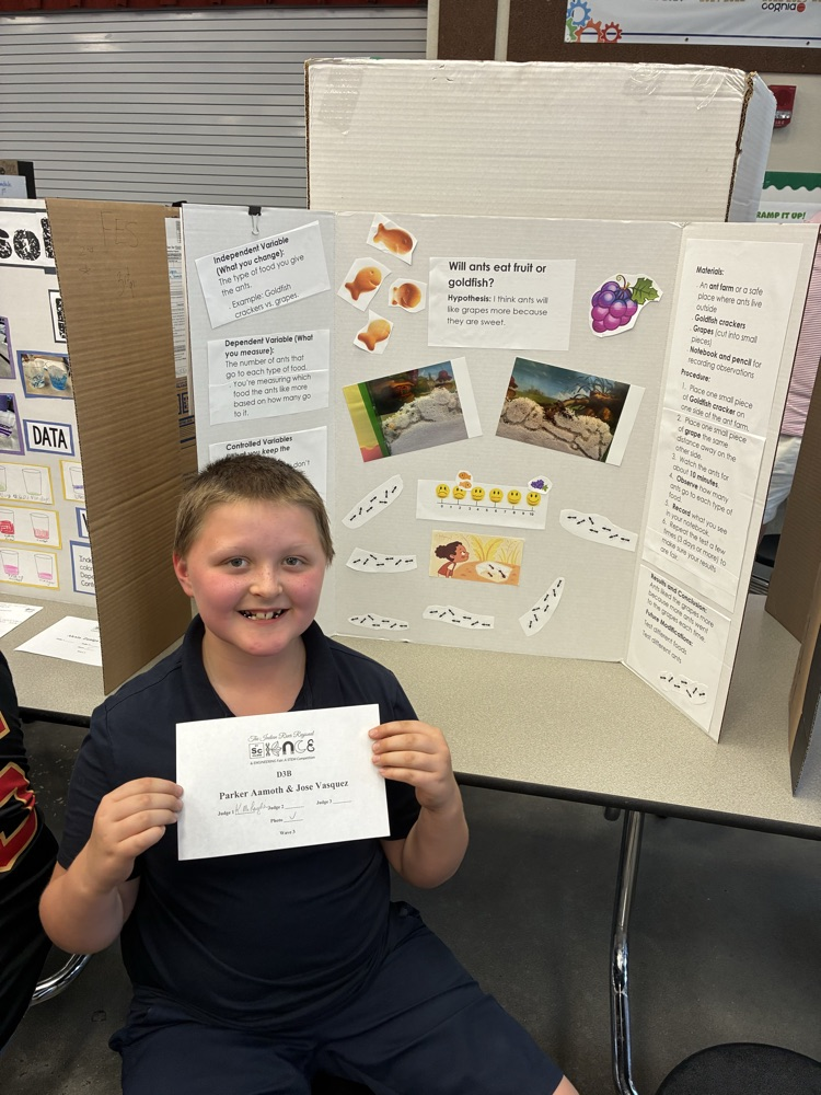Science Fair