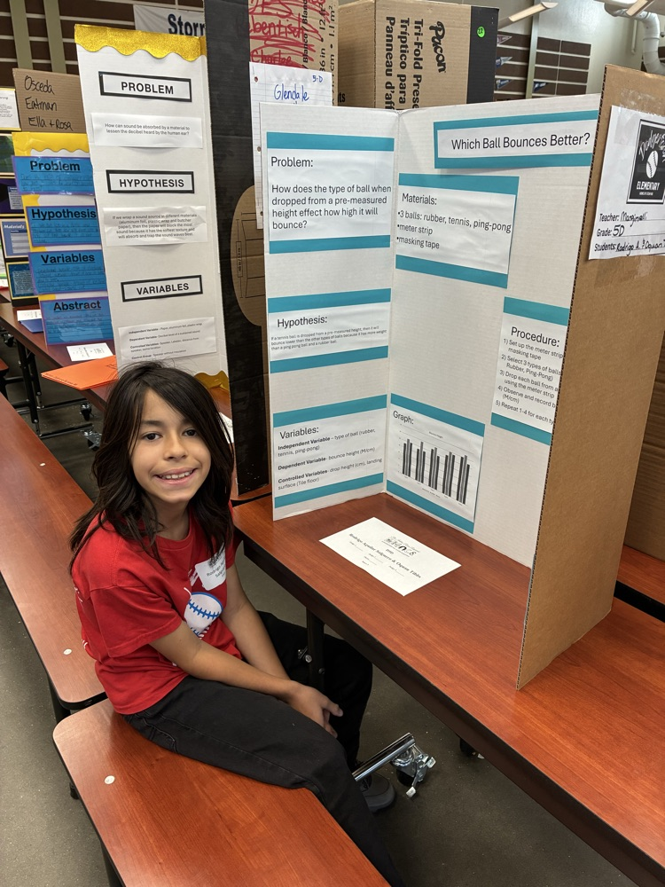Science Fair