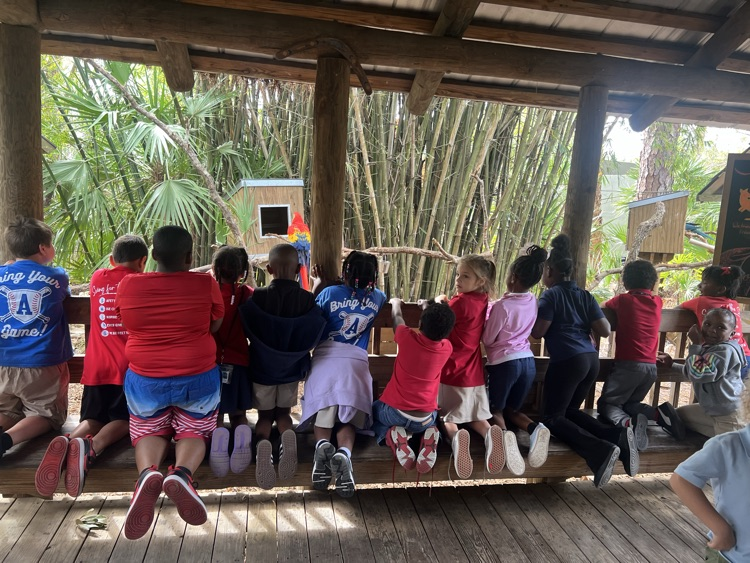 Zoo Field Trip
