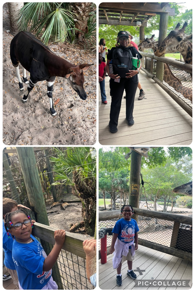 Zoo Field Trip