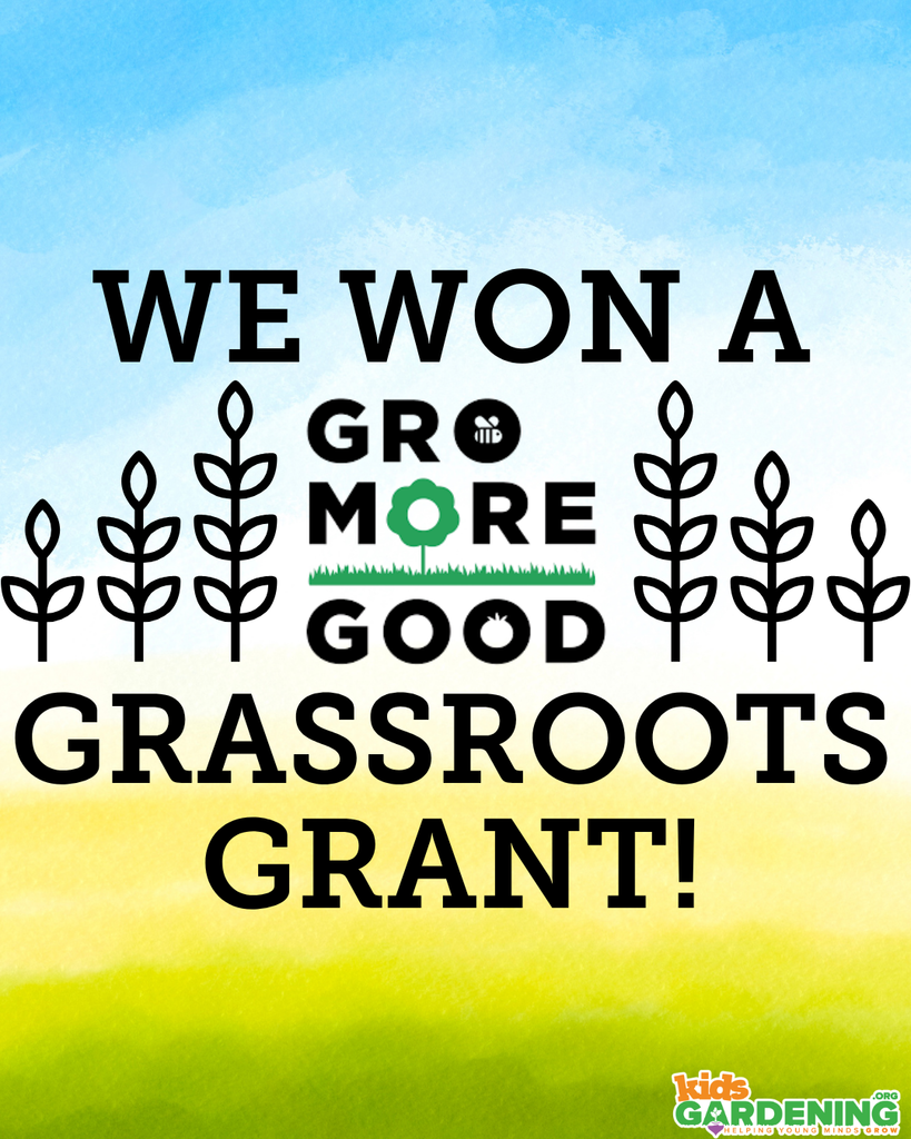Grassroots Grant