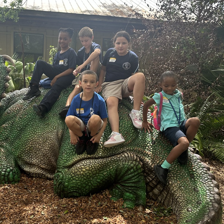 zoo
