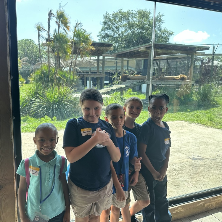 zoo