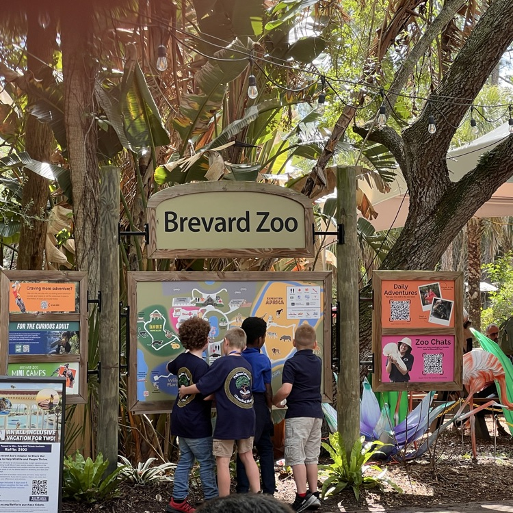 zoo