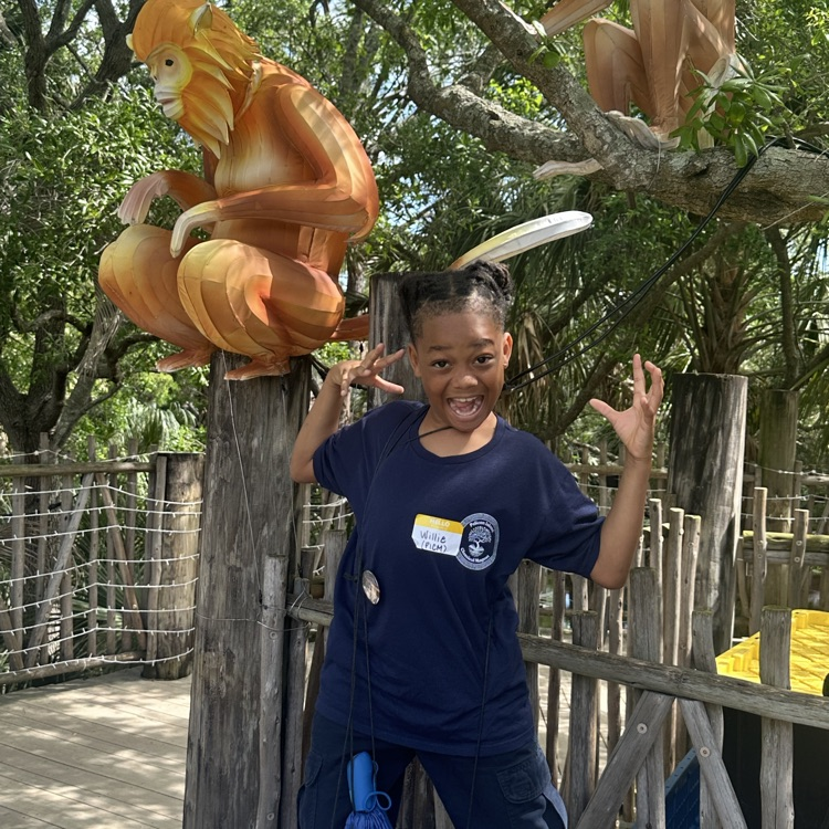 zoo