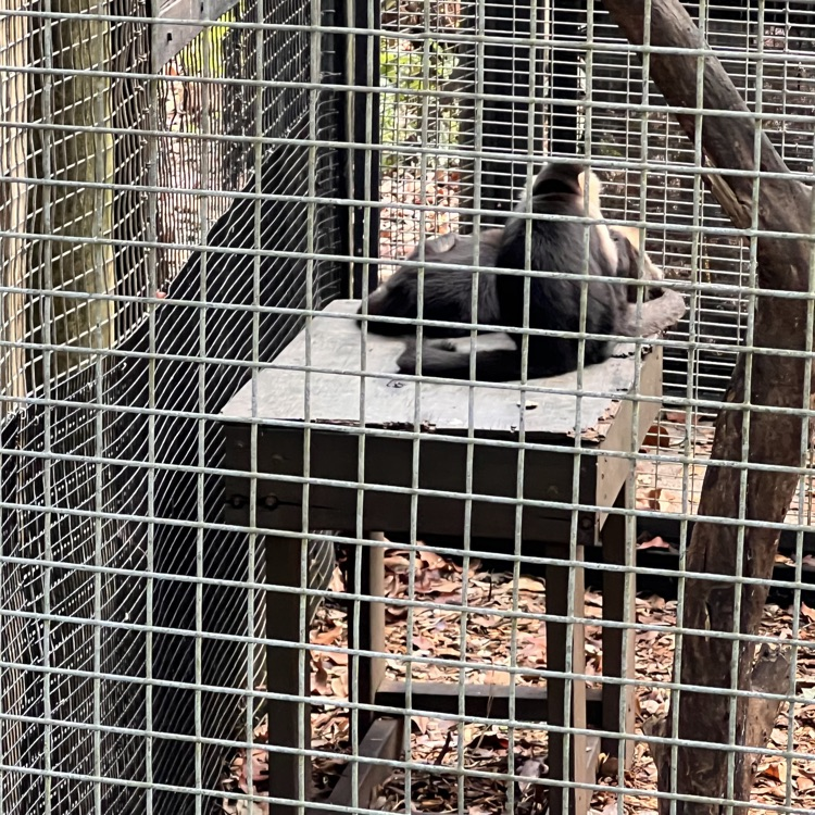 zoo