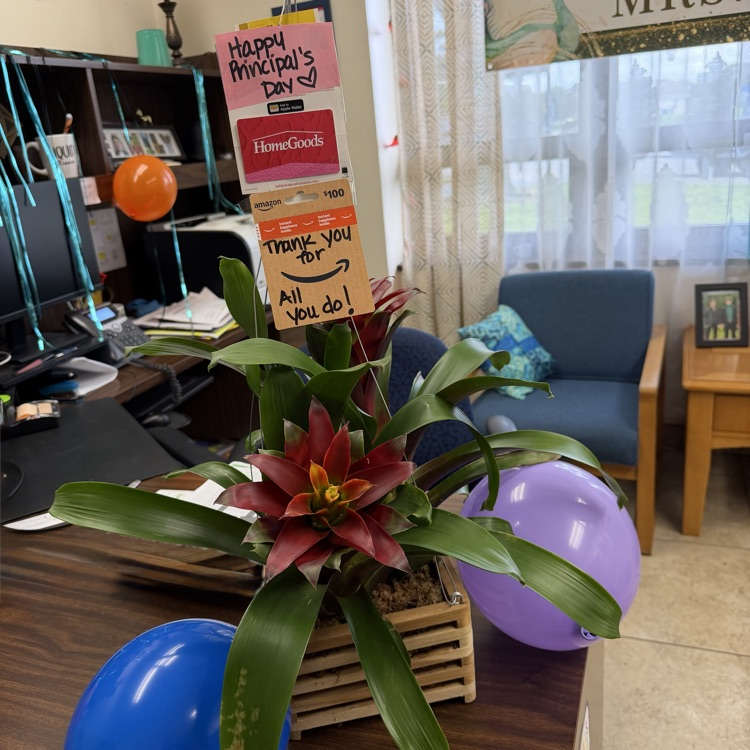 principal appreciation 