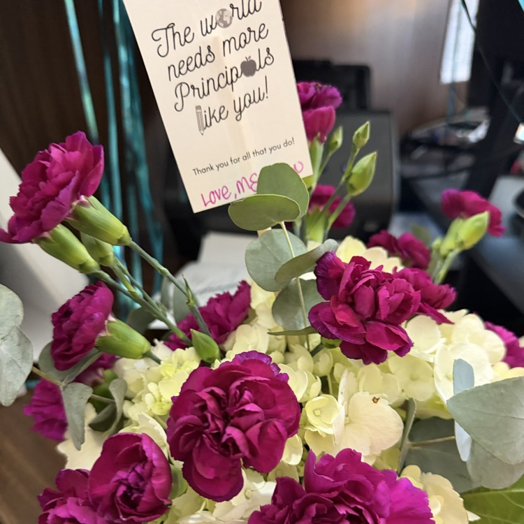principal appreciation 