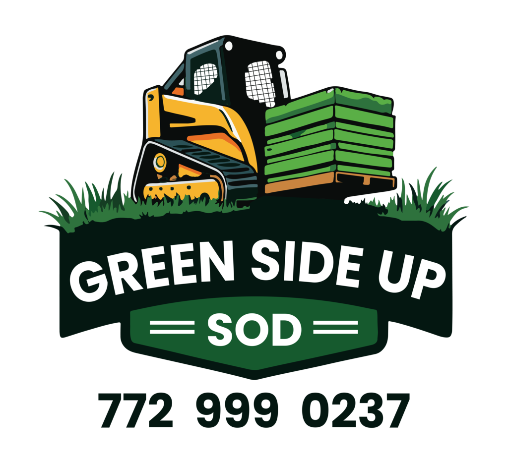 Sponsor Green Side Up