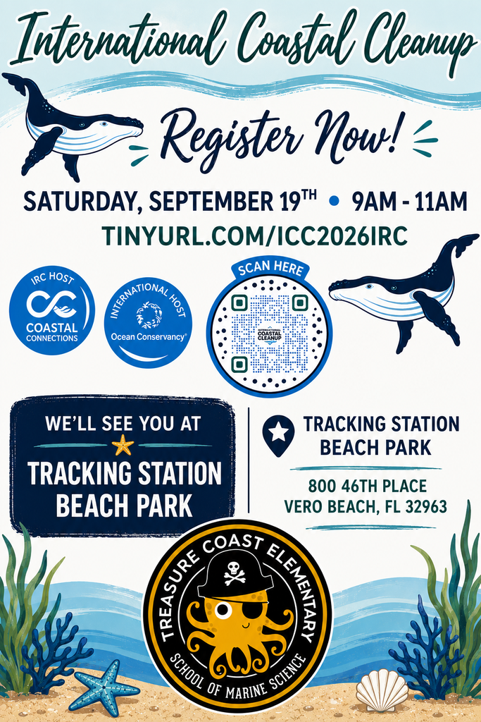 Beach CleanUp