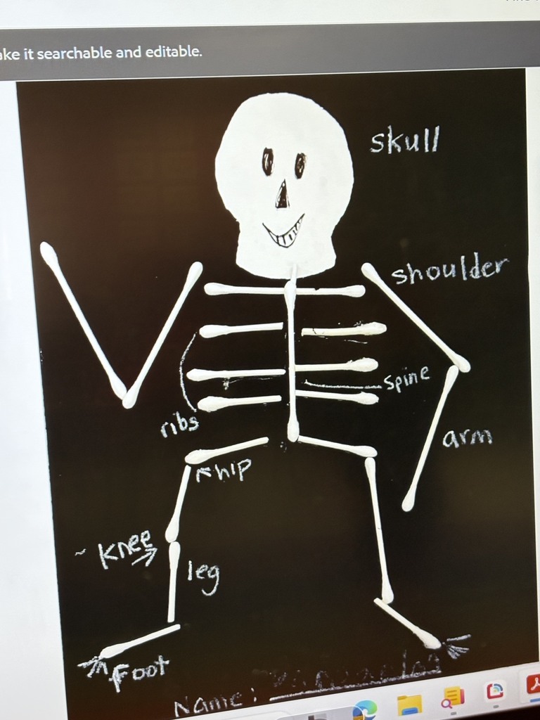 students working on skeleton project