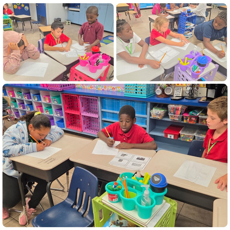 3rd Grade Review activity 
