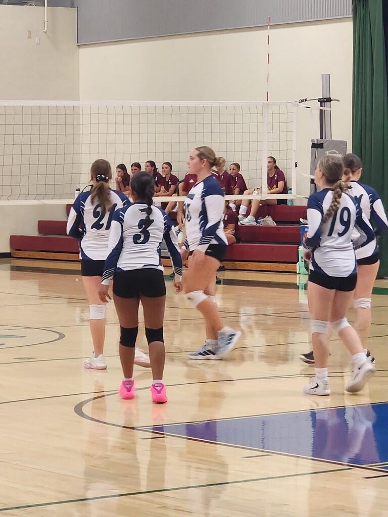Volleyball players