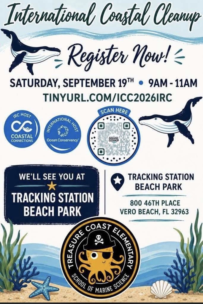 Beach Clean Up