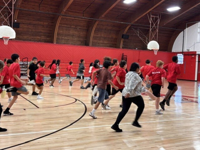 PE