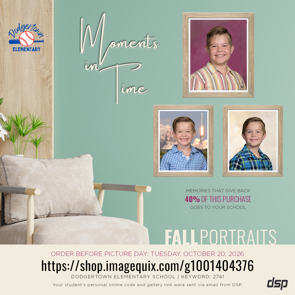 Picture Flyer