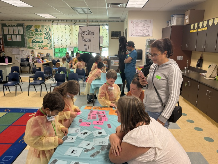1st grade showcase