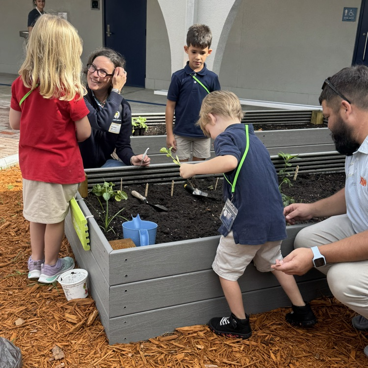 planting