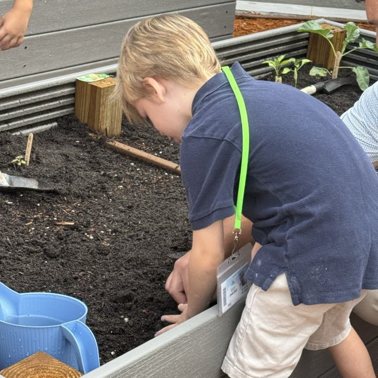 planting