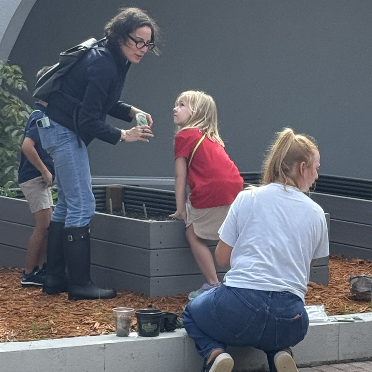 planting