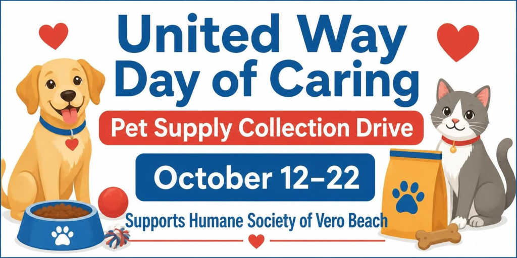 United way collection