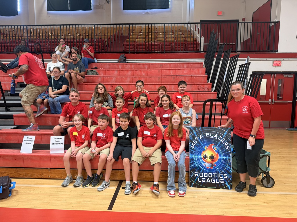 Techy Pirate Team