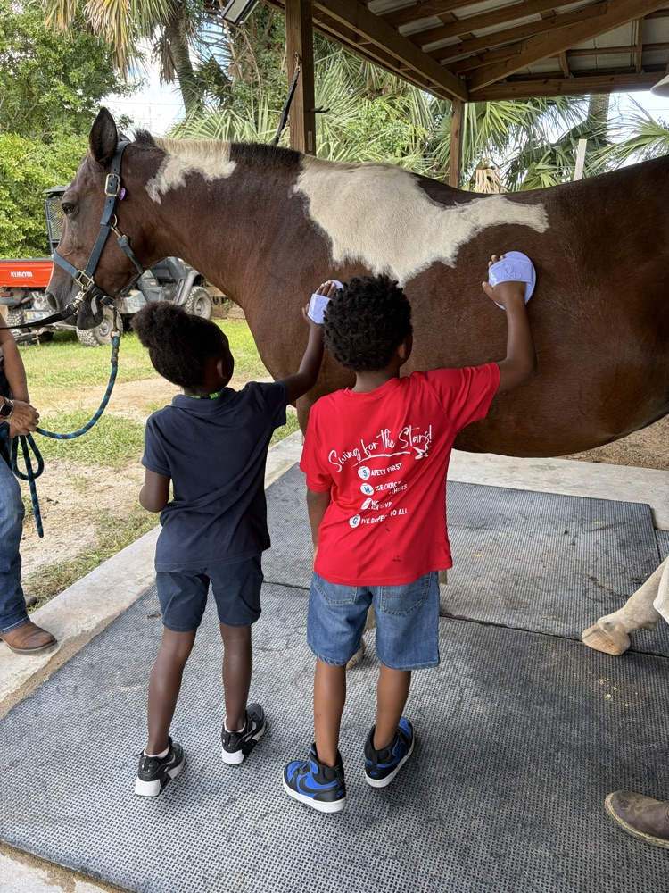Special Equestrians 