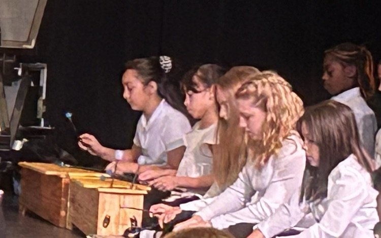 Orff musicians